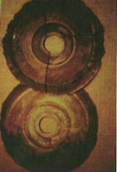 一万年前飞碟坠落西藏遗物–朱洛巴石盘