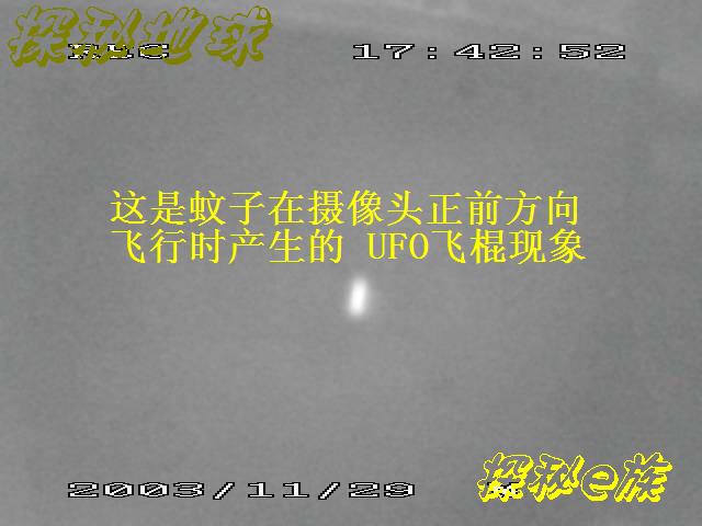飞虫产生的飞棍UFO现象